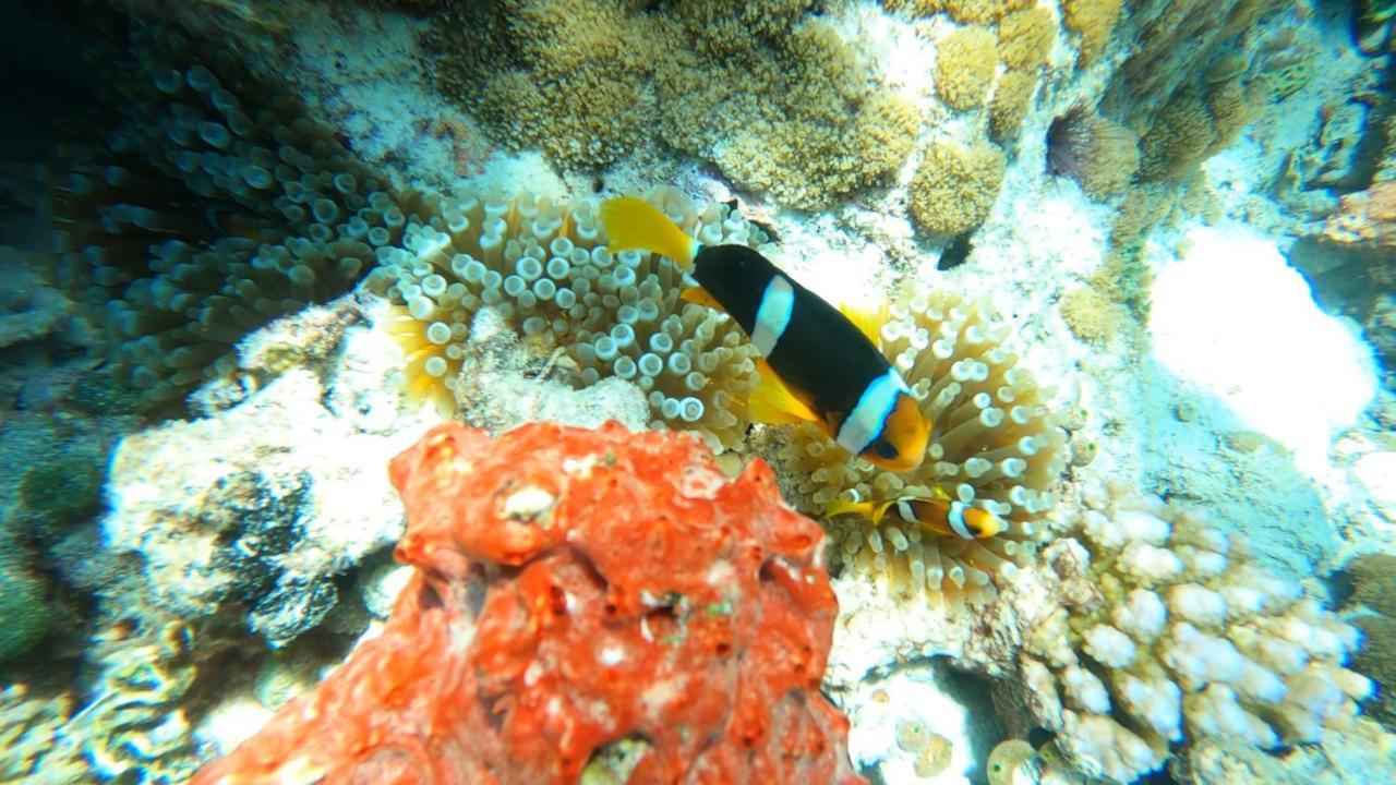 Dhangethi Inn * Dhangethi